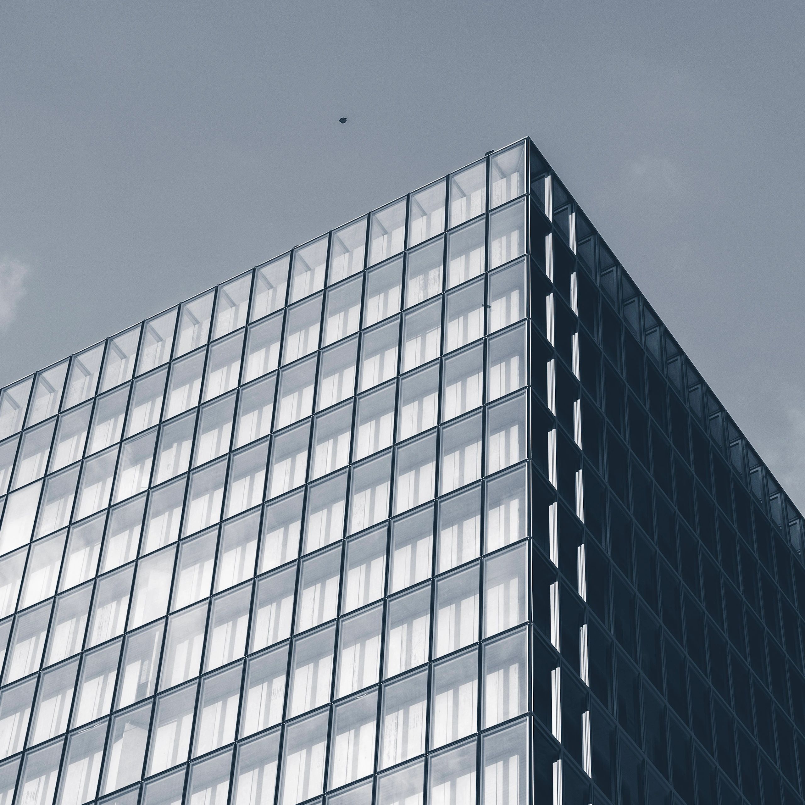 Century WIndow Systems