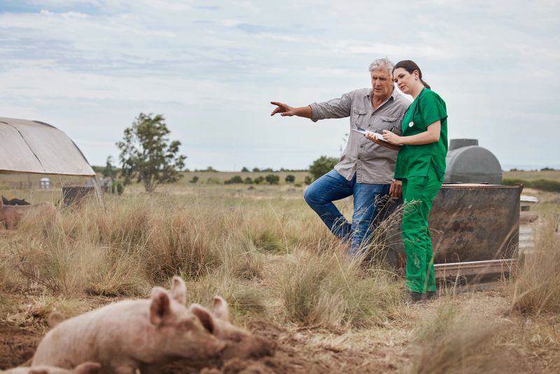 Veterinarians and farmers work closely together
