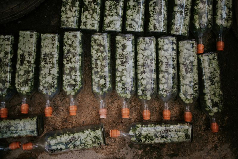 Simple living with sustainable lifestyle, planting young plant in reusable bottle.