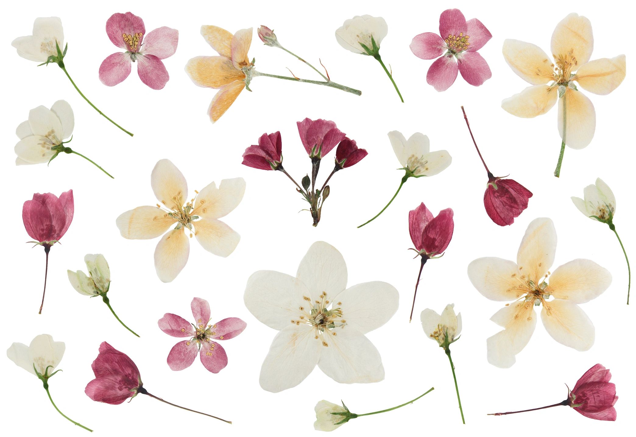 Fresh Pressed Florals - bridal bouquet preservation