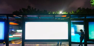 Brightly colored parrots perched on a branch in a lush forest.
