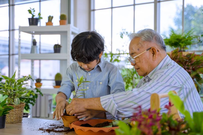 Grandfather and grandson are planting small tree at home. Leisure activity at home.
