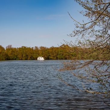 Boat on a lake surrounded by trees under a clear sky.