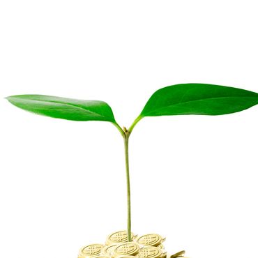 A small green plant growing from a pile of gold coins symbolizing financial growth.