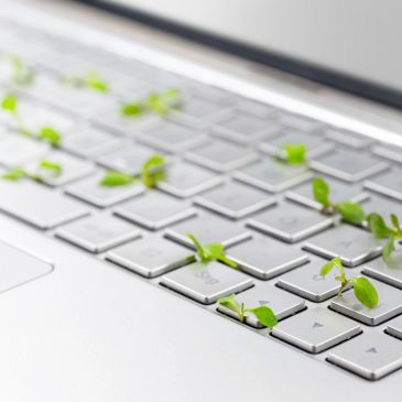 Small green plants growing on a laptop keyboard.