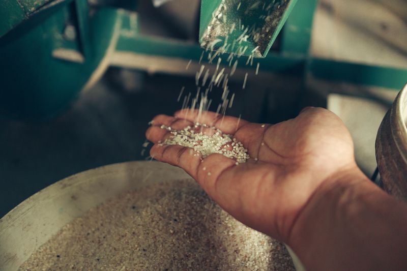 rice milling machine