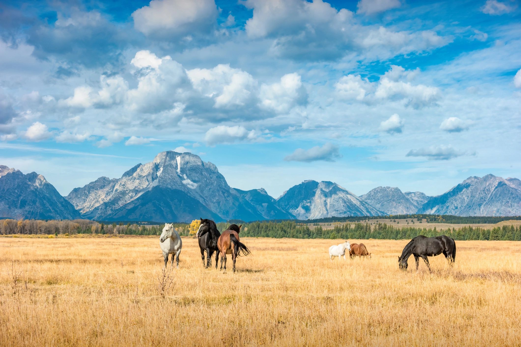 Dead Horse Ranch