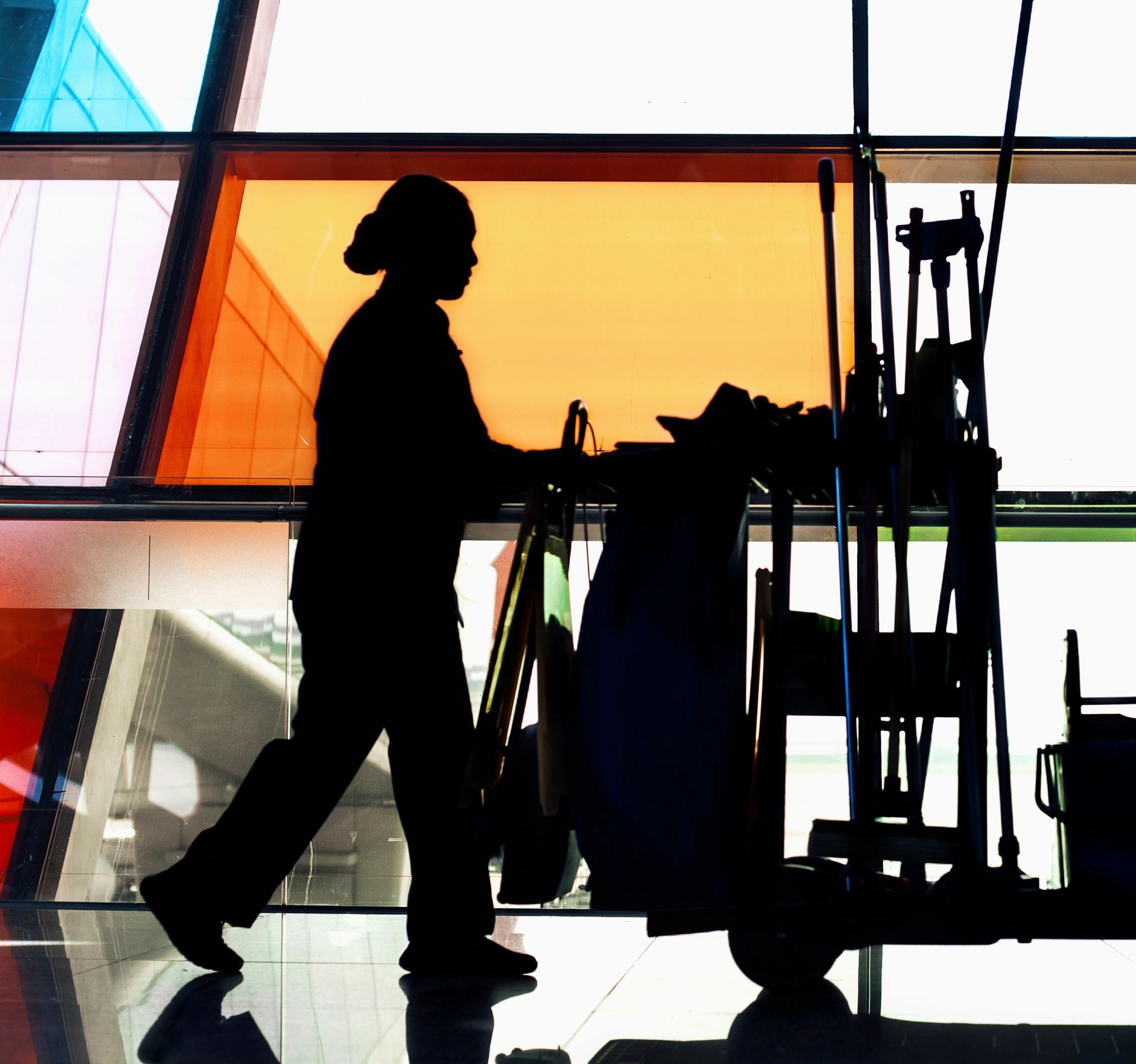 PROFESSIONAL JANITORIAL SERVICES INDIANAPOLIS