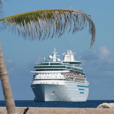 Disney Cruise ship at sea