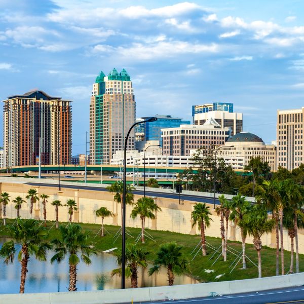 City skyline with palm trees and highways.