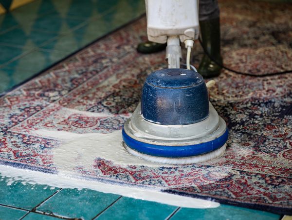 Carpet being cleaned with a rotary machine.