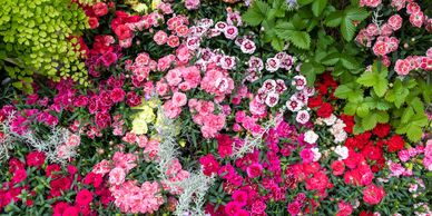 landscaping, mulch, landscaper near me, hardscaping, fall clean up, spring clean up, fence install