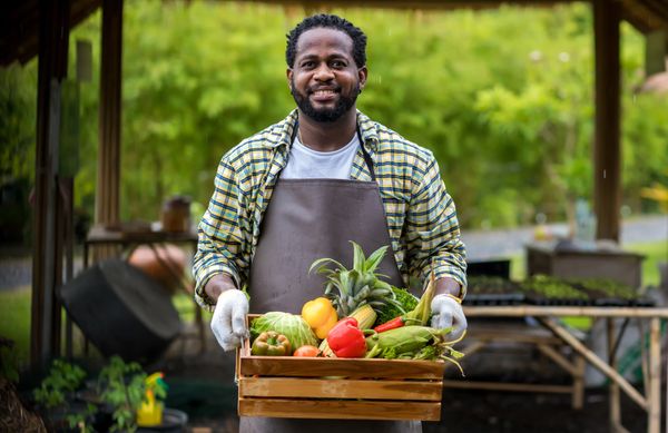 Smiling man holding a crate of fresh vegetables in a garden.