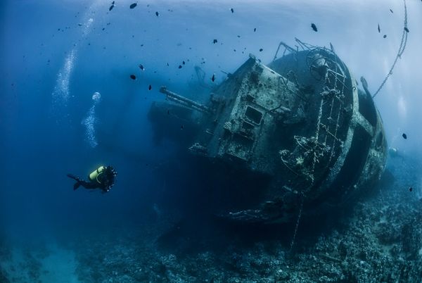 Scuba diver exploring a sunken shipwreck underwater surrounded by fish.