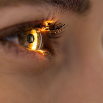 Close-up of an eye reflecting warm light.