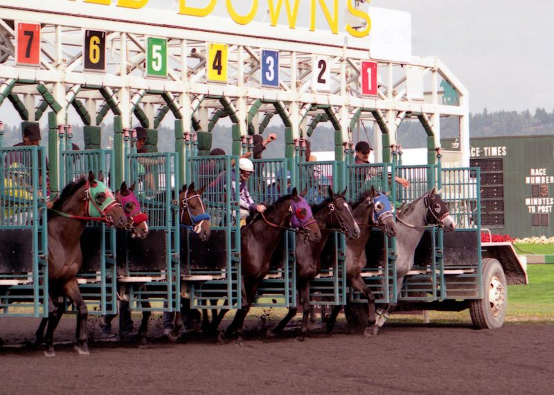 Horses breaking from the starting gate.