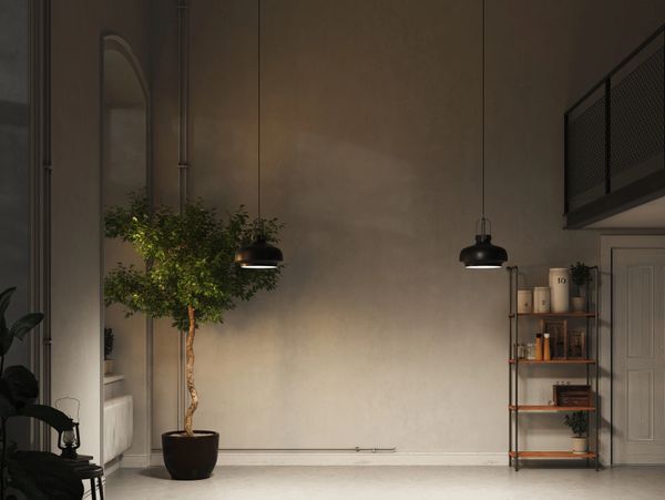 Minimalist room with a potted tree, shelving unit, and hanging lights.