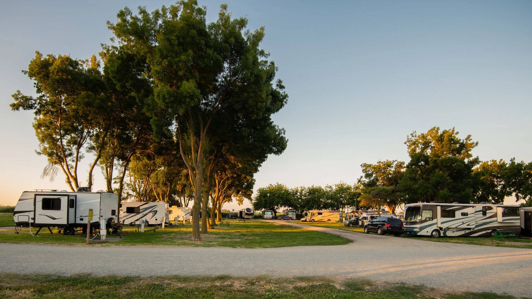 RV park with multiple trailers and motorhomes under tall trees during golden hour.
