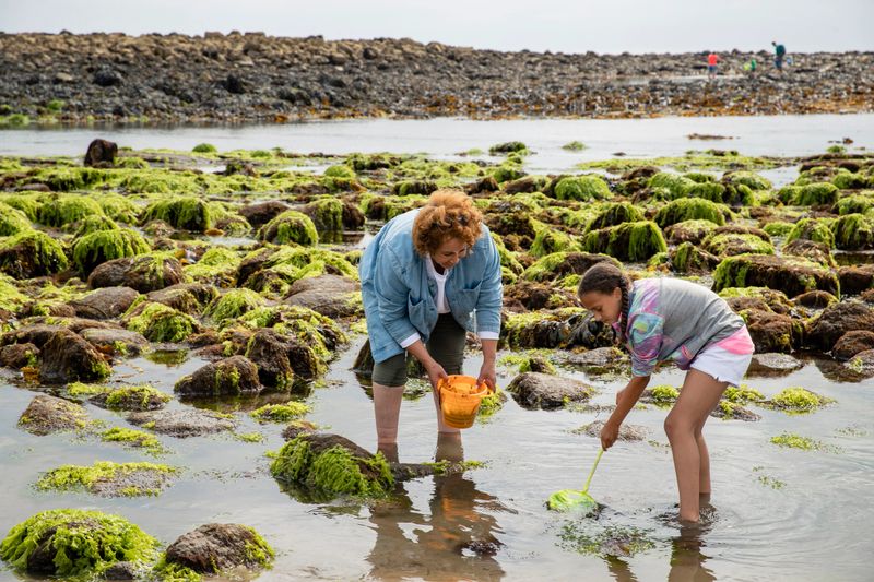 A young girl and her grandmother spending the day together at Beadnell beach, North East England. They are using a bucket and fishing net to catch wildlife in the sea.