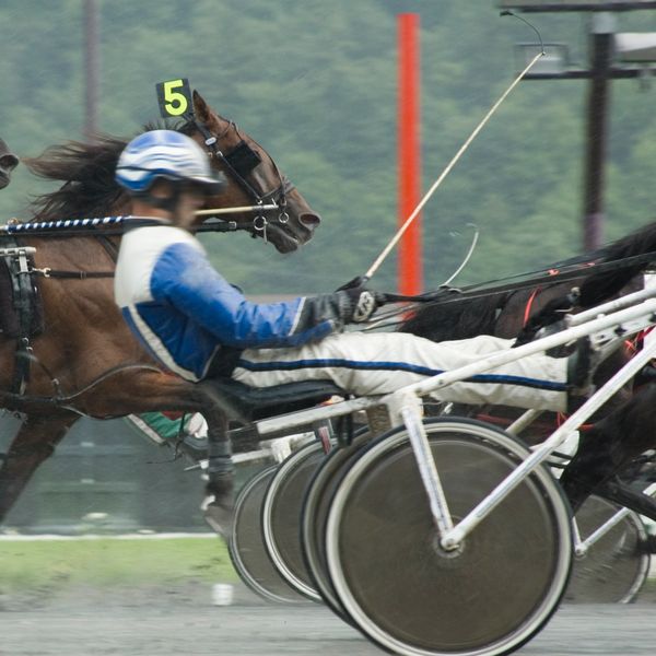Harness racing with horses and drivers in sulkies competing on a rainy track.