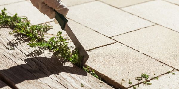 Hand removing weeds from pavement cracks with a tool.