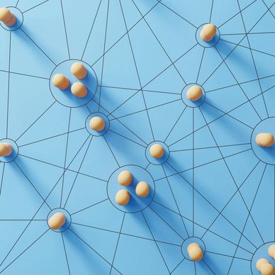Network Management