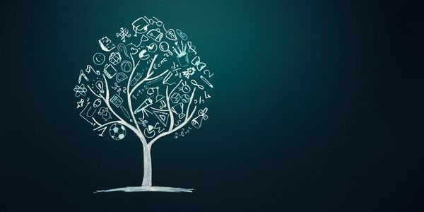 a tree with many objects on it, signifying many different paths