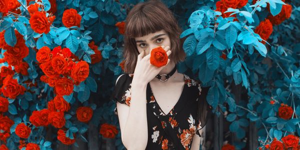 A woman stands among vibrant red roses with striking blue leaves, holding a rose near her face.