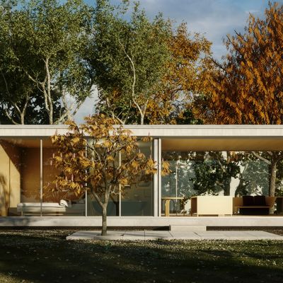 Contemporary California home framed by mature trees.