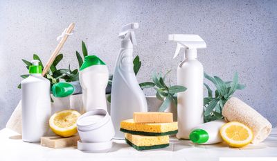 House Cleaning Services Avondale AZ