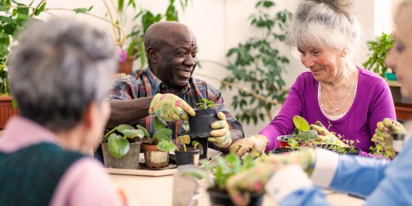 Seniors happily gardening together indoors with potted plants.