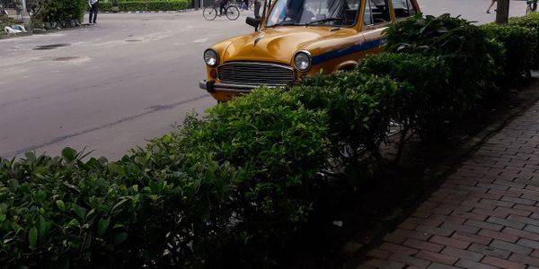 A vintage yellow taxi parked behind green bushes on a city street.