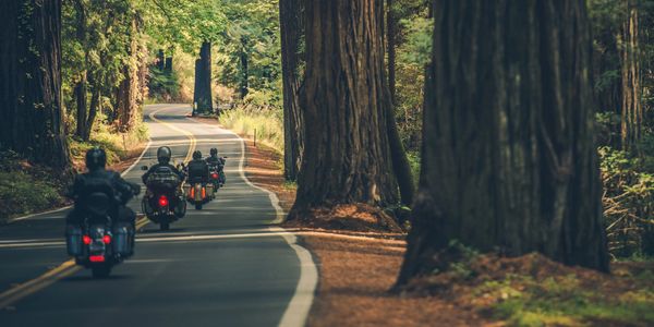 I buy bikes for sale