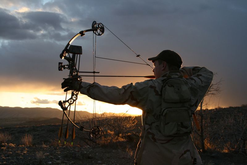 A male hunter draws back on his bow during an evening hunt