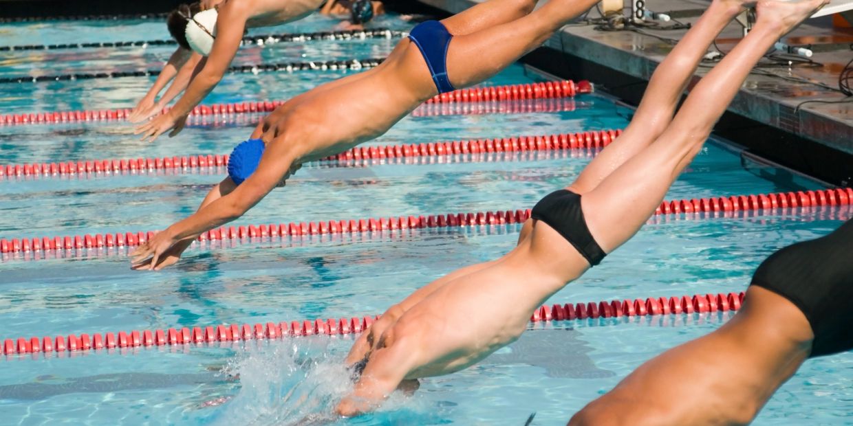 Swimmers diving into a pool at the start of a race.