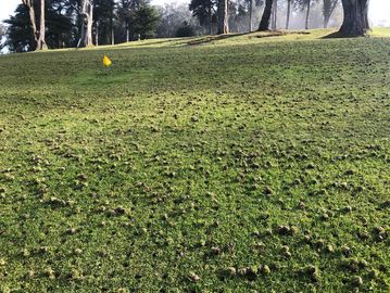 Lawn aeration service in Winnipeg