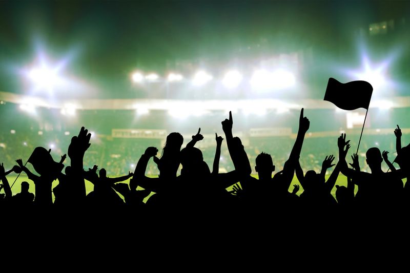 Soccer or rugby supporters in the stadium