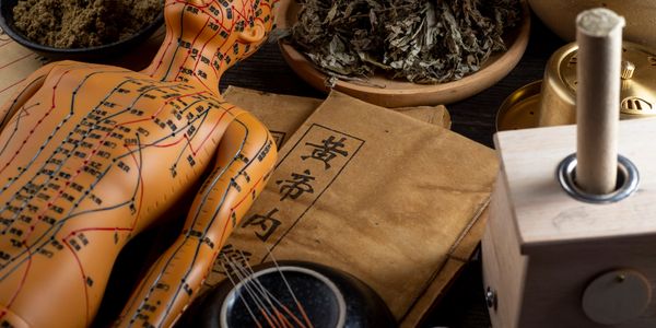 Traditional Chinese medicine tools including an acupuncture model and herbs.