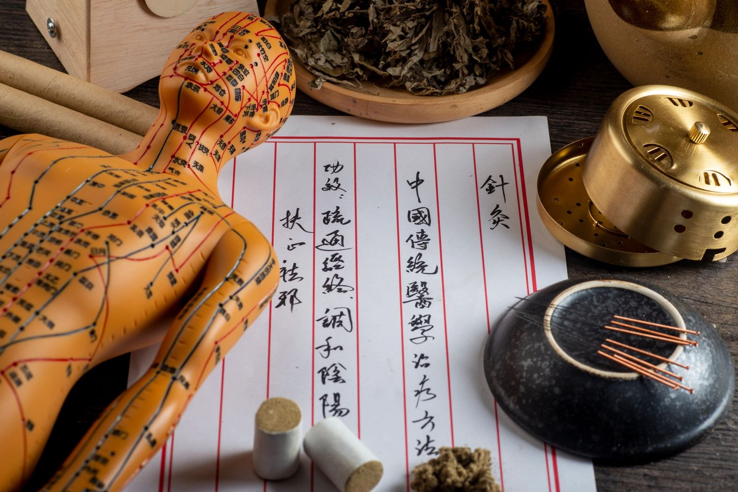 Traditional Chinese medicine tools with acupuncture model and herbs.
