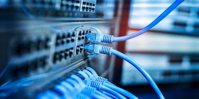 Close-up of blue Ethernet cables connected to a network switch.