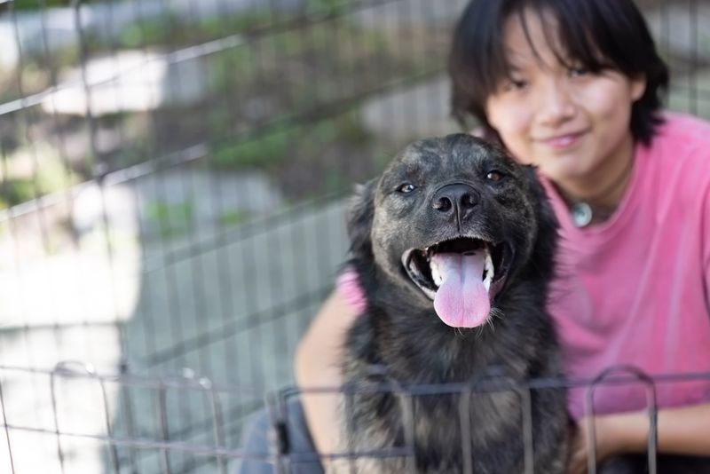 Chinese young woman sits in outdoor playpen with the dog she recently adopted to make him more comfortable.