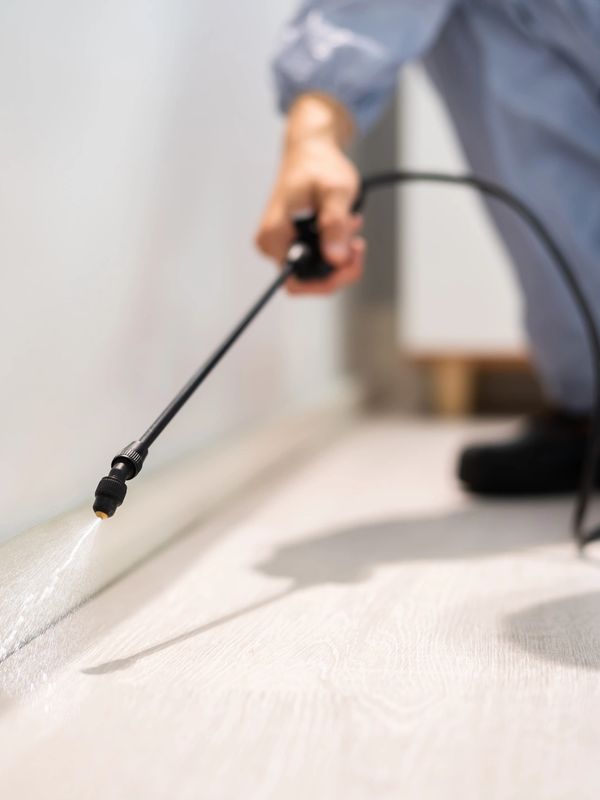 Person spraying pesticide along a wall base indoors.