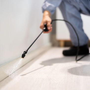 Person spraying pesticide along a floor edge for pest control.