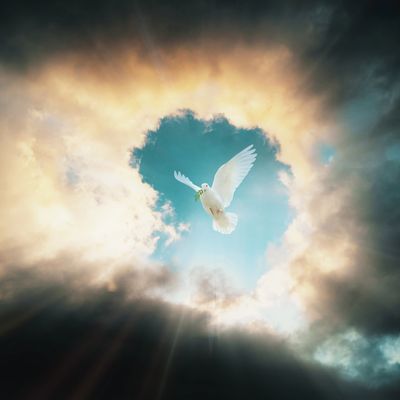 A white dove flying through a heart-shaped opening in the clouds.
