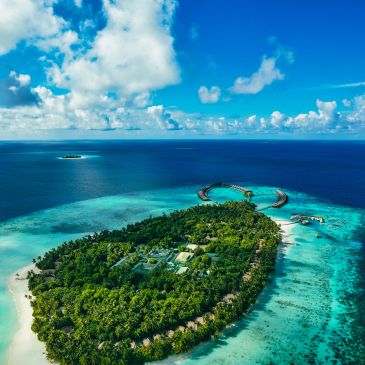 Aerial view of lush island surrounded by turquoise ocean.