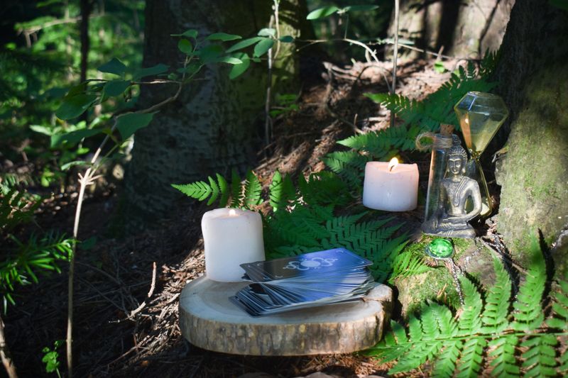 A ritual with candles and an old book and maps in the forest on the roots of trees. Divination, astrology and esotericism, mysticism, witchcraft, magic