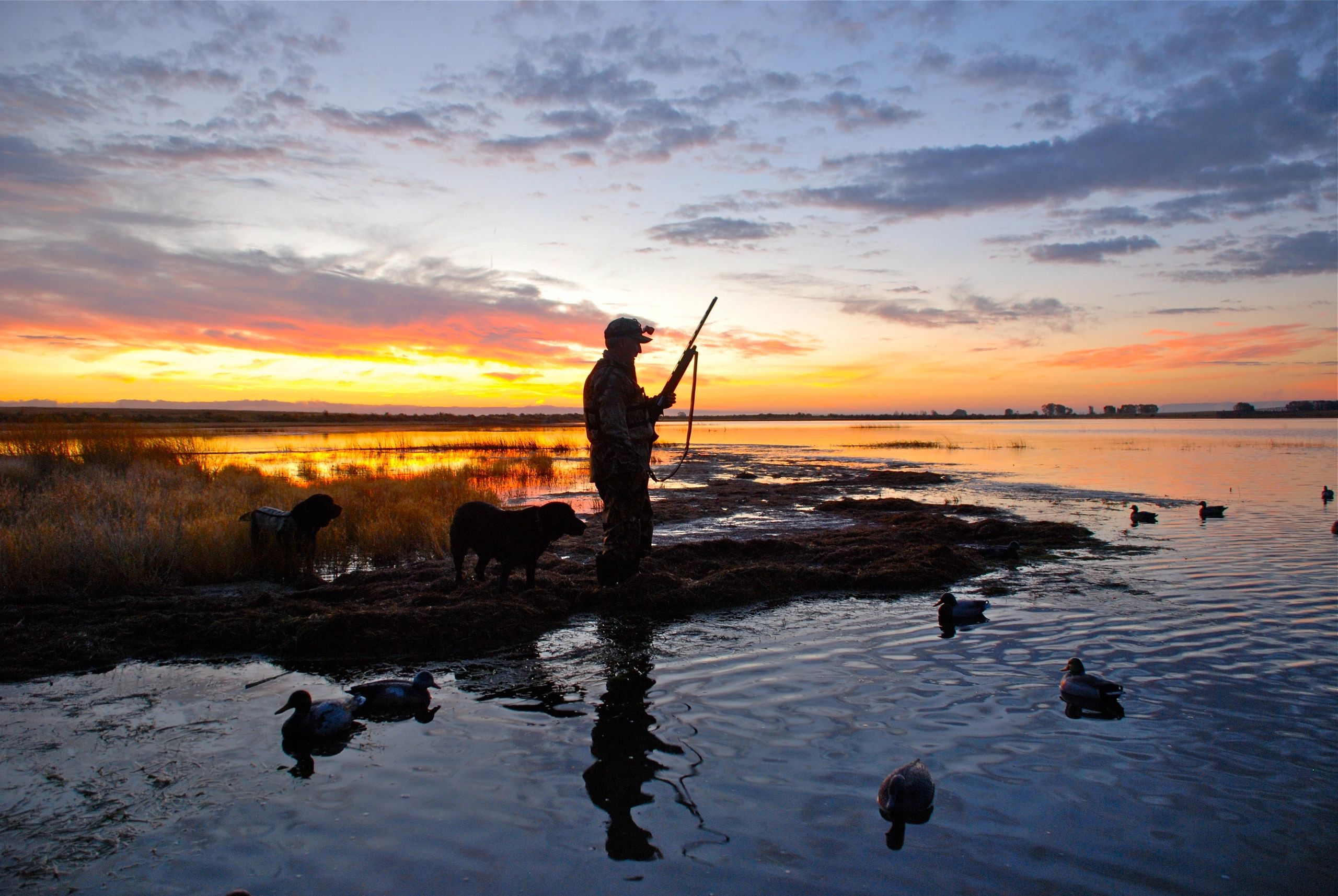 DLW Outfitters