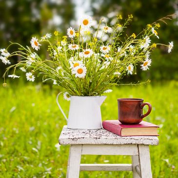 A book and freshly cut wildflowers placed on a stool outside on a sunny day.