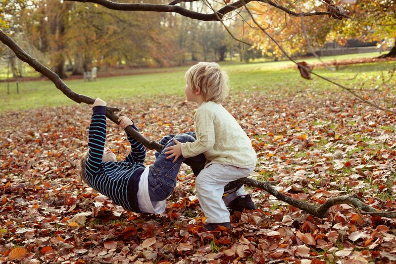 Boys playing on tree outdoors