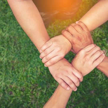 Sinergia y trabajar en equipo